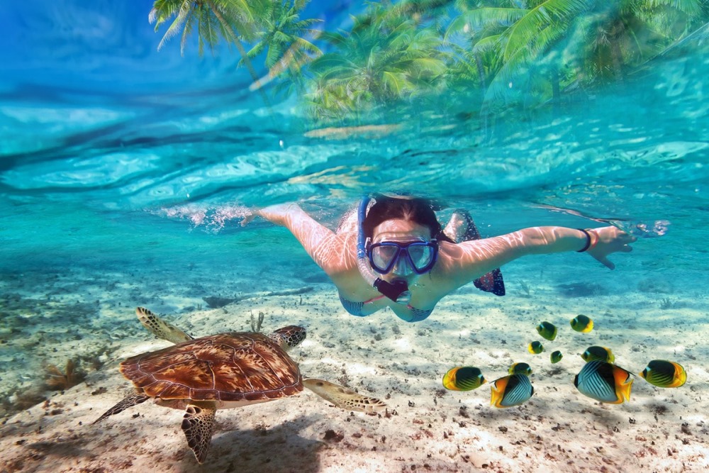 content/hotel/Sun Aqua Vilu Reef/Activities/SunAquaViluReef-Activities-Diving-01.jpg